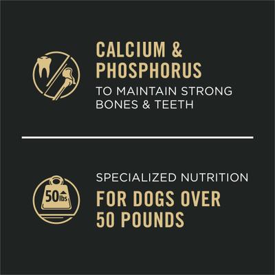 Show full view: Purina Pro Plan Specialized Variety Pack Adult Large Breed High Protein Chicken & Rice, Beef & Rice in Gravy Wet Dog Food, 13-oz can, case of 12 slide 5 of 12