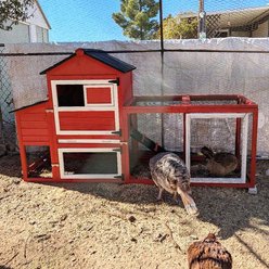 Aivituvin AIR72-R Chicken Hutch, 80.7-L slide 2 of 7