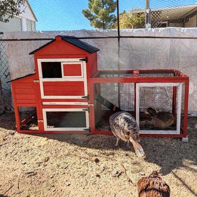 Show full view: Aivituvin AIR72-R Chicken Hutch, 80.7-L slide 2 of 8