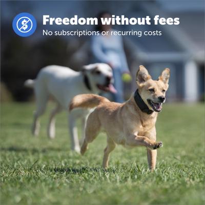 Show full view: PetSafe Guardian GPS Wireless Dog Fence Add-A-Dog Receiver Collar slide 3 of 6