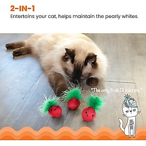 Catstages Straw-Babies Catnip Dental Cat Toy, 3 count