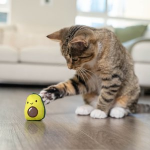 Catstages Lil' Avocato Cat Toy with Catnip