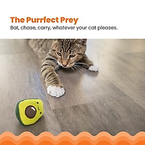 Catstages Lil' Avocato Cat Toy with Catnip