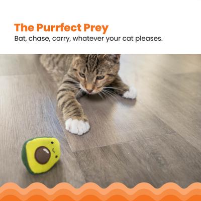 Show full view: Catstages Lil' Avocato Cat Toy with Catnip slide 2 of 11