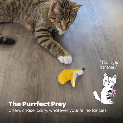 Show full view: Catstages Interactive Dental Banana Cat Chew Toy with Catnip, Yellow slide 6 of 10