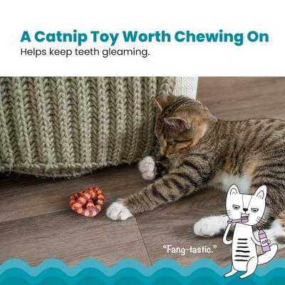 Show full view: Catstages Plaque Away Pretzel Cat Toy with Catnip, Color Varies slide 2 of 11