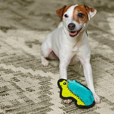 Show full view: Outward Hound Durablez Tough Plush Dog Toy, Hedgehog, X-Small slide 5 of 10