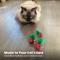 Show in main carousel: Catstages Strawbabies Kicker Cat Plush with Catnip, Red, 3 count slide 6 of 11