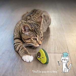 Catstages Lil' Avocato Cat Toy with Catnip