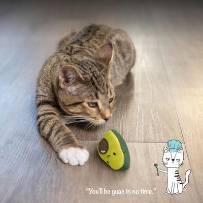 Show full view: Catstages Lil' Avocato Cat Toy with Catnip slide 6 of 11