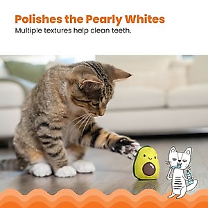 Catstages Lil' Avocato Cat Toy with Catnip