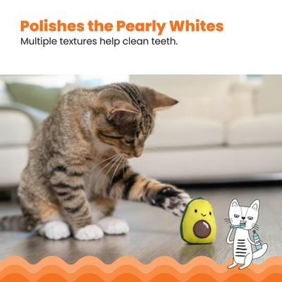 Show full view: Catstages Lil' Avocato Cat Toy with Catnip slide 4 of 11