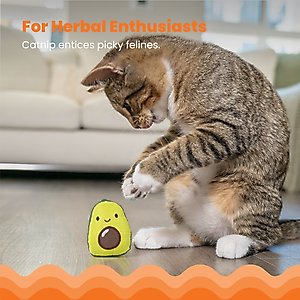 Catstages Lil' Avocato Cat Toy with Catnip