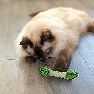 Catstages Fresh Breath Mint Stick Cat Chew Toy