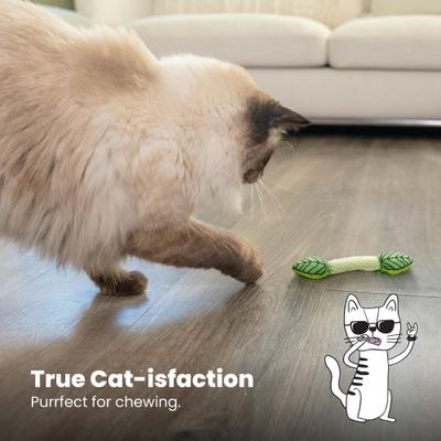 Show full view: Catstages Fresh Breath Mint Stick Cat Mesh Dental Chew Toy with Catnip, Green, 1 count slide 7 of 12