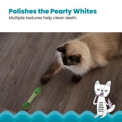 Show full view: Catstages Fresh Breath Mint Stick Cat Mesh Dental Chew Toy with Catnip, Green, 1 count slide 5 of 12