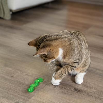 Show full view: Catstages ORKAkat Wiggle Worm Cat Toy with Catnip slide 8 of 11