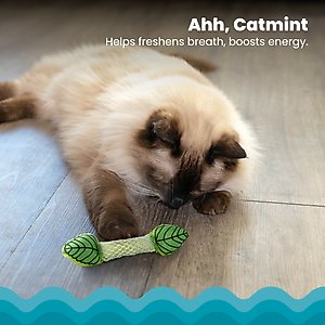Catstages Fresh Breath Mint Stick Cat Chew Toy