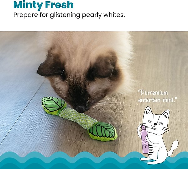 Show full view: Catstages Fresh Breath Mint Stick Cat Chew Toy slide 2 of 11