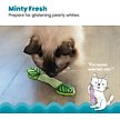 Show in main carousel: Catstages Fresh Breath Mint Stick Cat Chew Toy slide 2 of 11