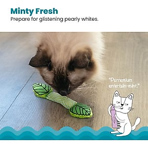 Catstages Fresh Breath Mint Stick Cat Chew Toy