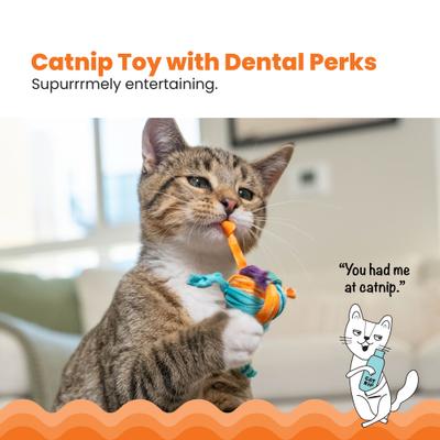 Show full view: Catstages Tons of Tails Cat Toy with Catnip, Color Varies slide 2 of 11