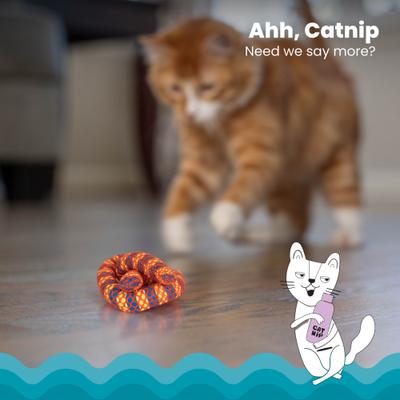Show full view: Catstages Plaque Away Pretzel Cat Toy with Catnip, Color Varies slide 3 of 11