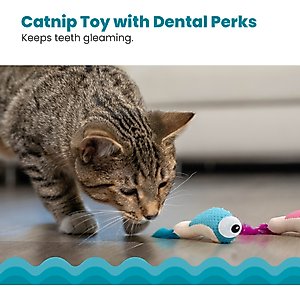 Catstages Dental Shrimpies Cat Chew Toy with Catnip, 2 count