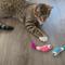 Show in main carousel: Catstages Dental Shrimpies Cat Chew Toy with Catnip, Multicolor slide 8 of 11