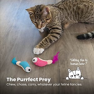 Catstages Dental Shrimpies Cat Chew Toy with Catnip, 2 count