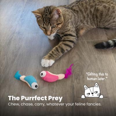 Show full view: Catstages Dental Shrimpies Cat Chew Toy with Catnip, Multicolor slide 6 of 11