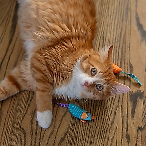 Catstages Mice Cat Chew Toy with Catnip