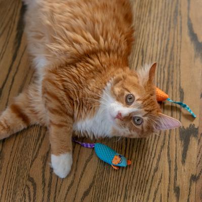 Show full view: Catstages Mice Cat Chew Toy with Catnip slide 9 of 12