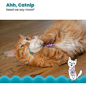 Catstages Mice Cat Chew Toy with Catnip