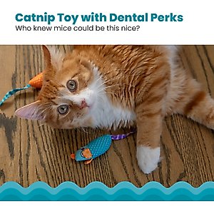 Catstages Mice Cat Chew Toy with Catnip