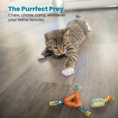 Show full view: Catstages Dental Cat Chew Toy with Catnip, Color Varies slide 6 of 11