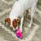 Show in main carousel: Outward Hound Durablez Minis Pig Tough Squeaky Dog Plush Toy, Pink, X-Small slide 5 of 11