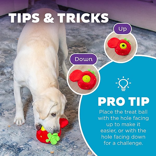 Show full view: Nina Ottosson by Outward Hound Fruity Findz Interactive Plush Puzzle Dog Toy slide 5 of 9