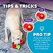 Show in main carousel: Nina Ottosson by Outward Hound Fruity Findz Interactive Plush Puzzle Dog Toy slide 5 of 9