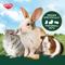 Show in main carousel: Kaytee Rose & Thyme Timothy Hay Blend Rabbit Food, 24-oz bag slide 4 of 10