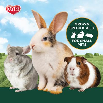 Show full view: Kaytee Rose & Thyme Timothy Hay Blend Rabbit Food, 24-oz bag slide 4 of 10