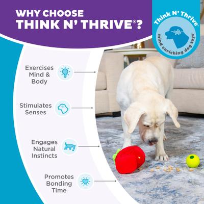 Show full view: Nina Ottosson by Outward Hound Fruity Findz Interactive Plush Puzzle Dog Toy slide 6 of 9