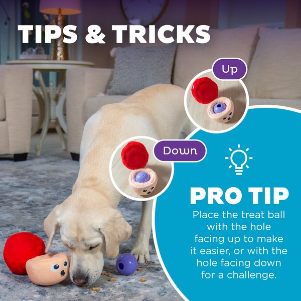 Show full view: Nina Ottosson by Outward Hound Snack Palz Interactive Plush Puzzle Dog Toy slide 5 of 11