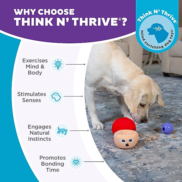 Show full view: Nina Ottosson by Outward Hound Snack Palz Interactive Plush Puzzle Dog Toy slide 6 of 11