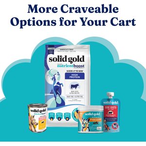 Solid Gold Digestive Support Chicken, Beef & Pumpkin Wet Dog Food, 3.5-oz cup, case of 6