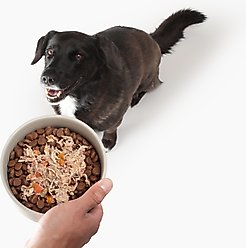 Solid Gold Digestive Support Chicken, Beef & Pumpkin Wet Dog Food, 3.5-oz cup, case of 6 slide 2 of 8