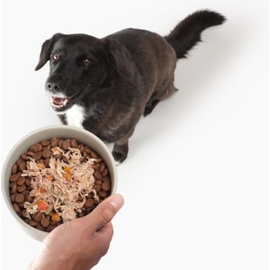 Solid Gold Digestive Support Chicken, Beef & Pumpkin Wet Dog Food, 3.5-oz cup, case of 6