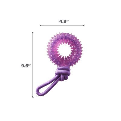 Show full view: Outward Hound 2-in-1 Dental Wheel Dog Chew & Tug Toy, Purple slide 7 of 9