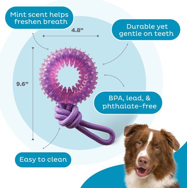Outward Hound 2-in-1 Dental Wheel Dog Chew & Tug Toy, Purple