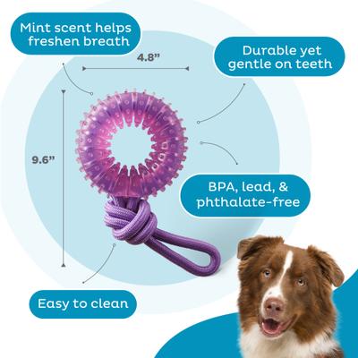 Show full view: Outward Hound 2-in-1 Dental Wheel Dog Chew & Tug Toy, Purple slide 3 of 9